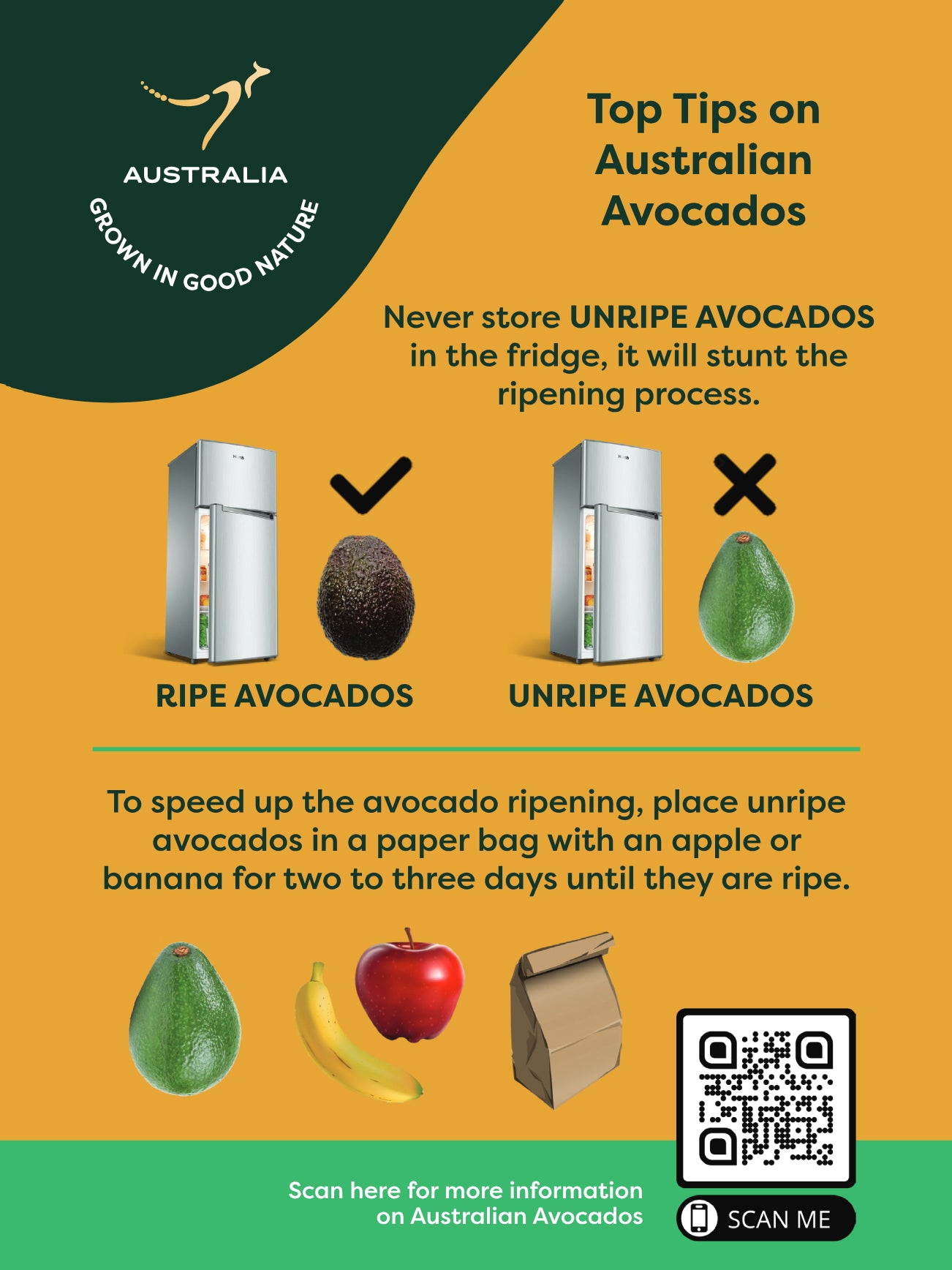 AUST AVOCADO PC
