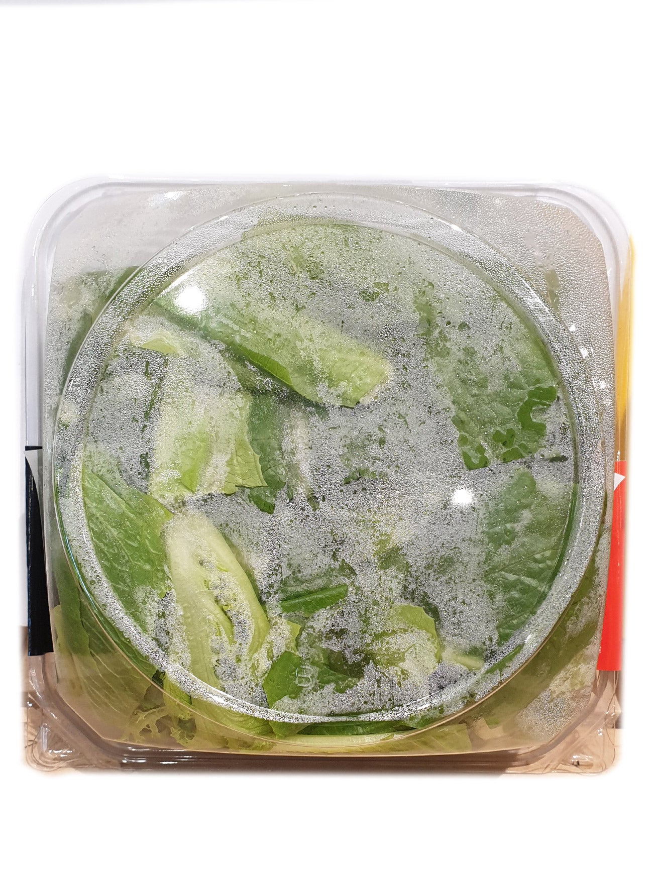 GG RTE CAESAR SALAD IN BOWL 120G